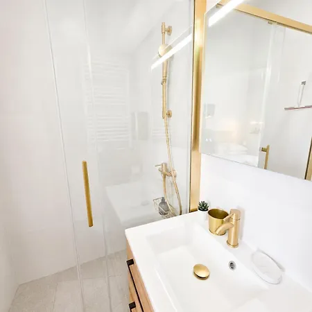 Διαμέρισμα Joyau Prestige, Studio, 2p, Ac, Coeur Vieil Αντίμπ
